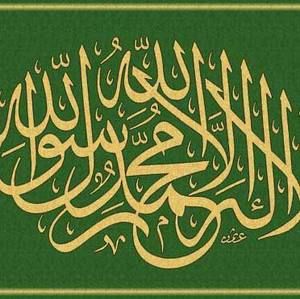 Meet your Posher, Abdullah